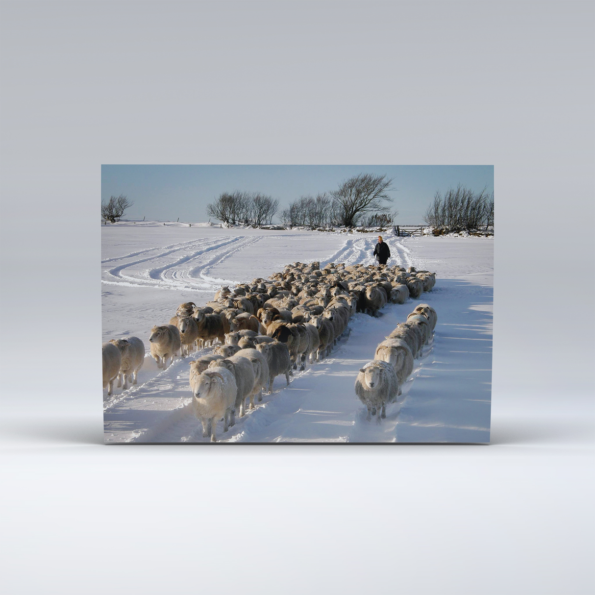 Snowy Days on Exmoor - Set of 15 Christmas Cards 5 cards of each design