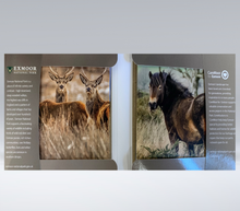 Load image into Gallery viewer, Exmoor Notecards - set of 8 (2 x 4 designs)
