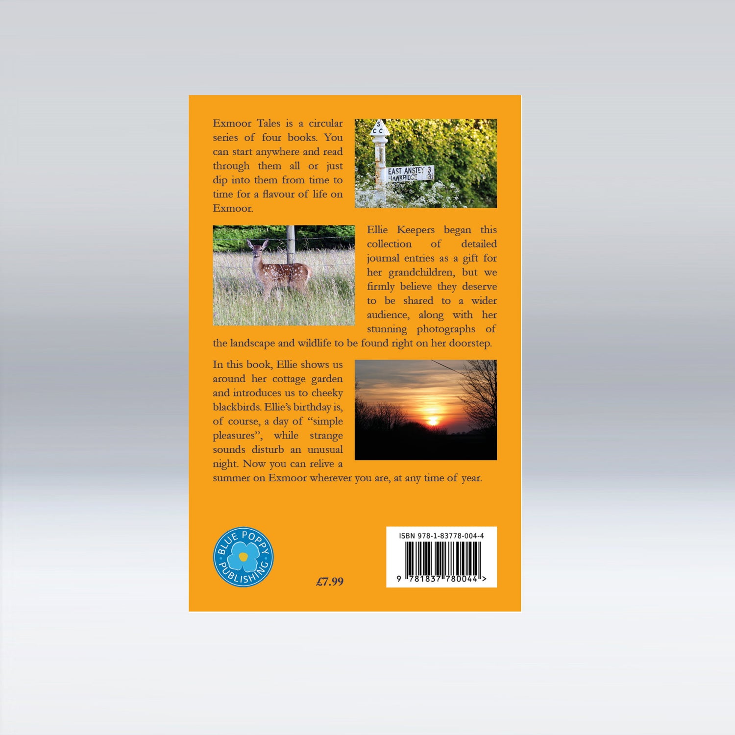 Exmoor Tales – Summer - A Personal Journal of Life on Exmoor