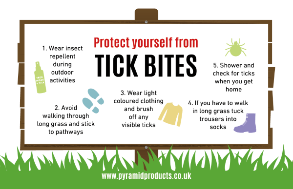 Pyramid Tick Remover 2 Pack