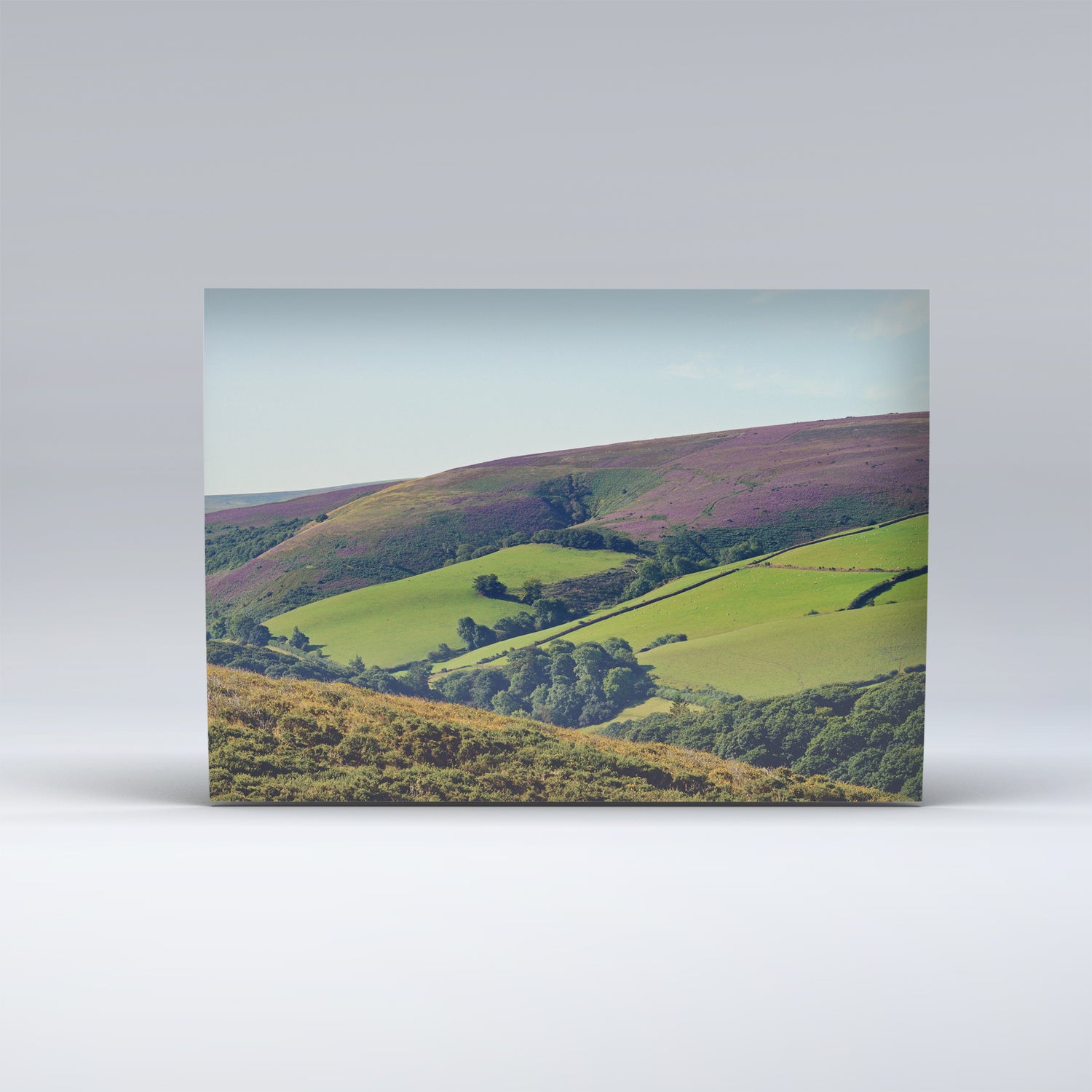 Lynmouth and North Devon Coast set of 4 Postcards