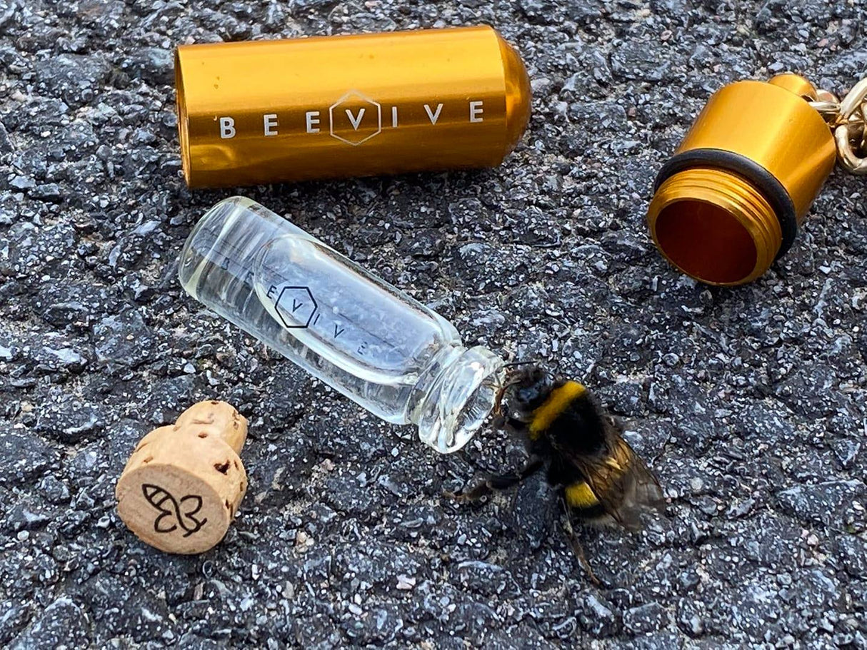 Beevive Revival Kit