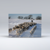 New! - Boxed set of 6 Exmoor Christmas cards
