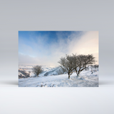 New! - Boxed set of 6 Exmoor Christmas cards