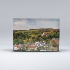 Post Card of Dunster, with its castle