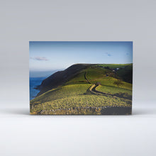Load image into Gallery viewer, Lynmouth and North Devon Coast set of 4 Postcards
