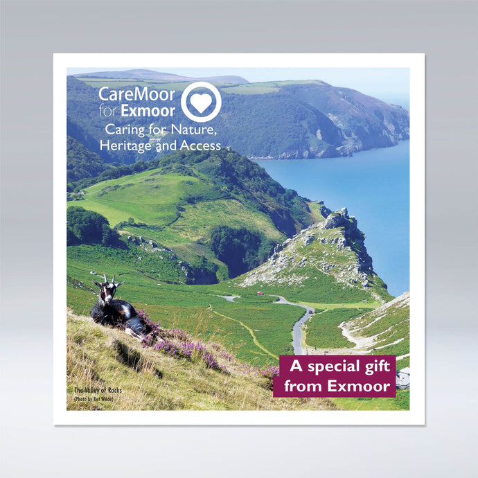 CareMoor for Exmoor Donation Gift Card, showing front cover
