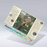 Boxed set of Exmoor Explorer Walks