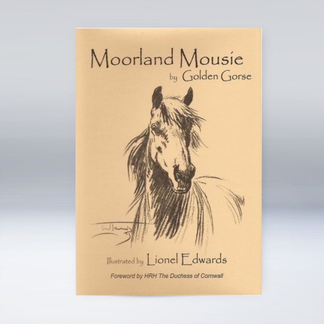 Moorland Mousie - Golden Gorse