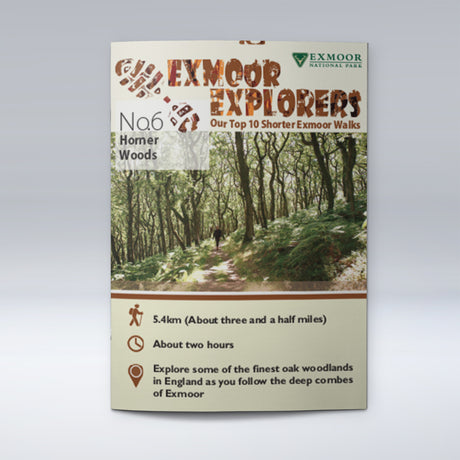 Exmoor Explorer Walks, Horner Woods