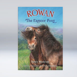 Rowan The Exmoor Pony - Dawn Westcott