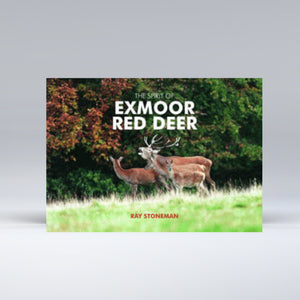 SALE: Spirit of Exmoor Red Deer (25% OFF)