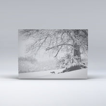 Load image into Gallery viewer, A deer in the snow on Exmoor

